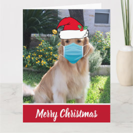 Tarjeta Feliz Navidad, perro gracioso en la mascara