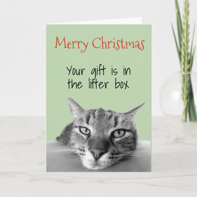 Tarjeta Feliz Navidad por regalo de gato en caja de basura (Anverso)