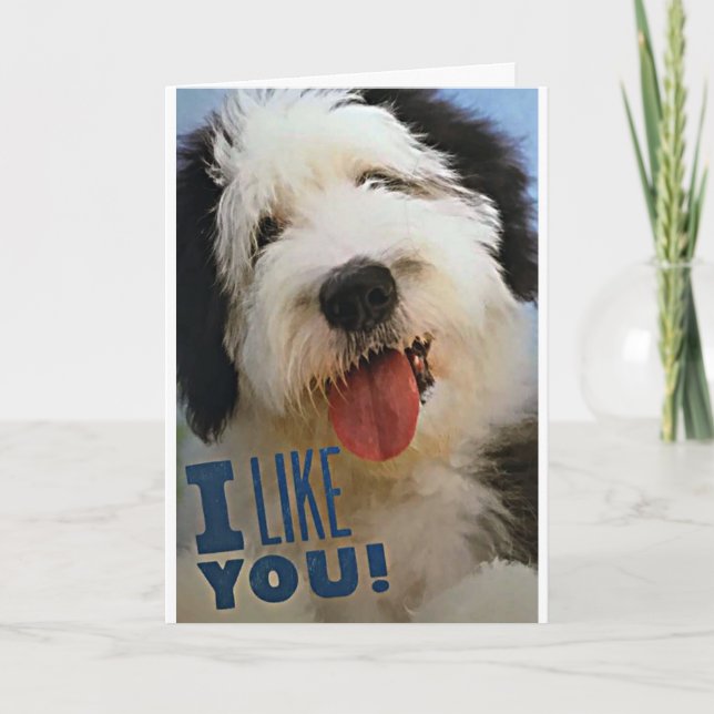 TARJETA ***FELIZ NAVIDAD**** **TE AMO** Y **COMO TÚ** (Anverso)