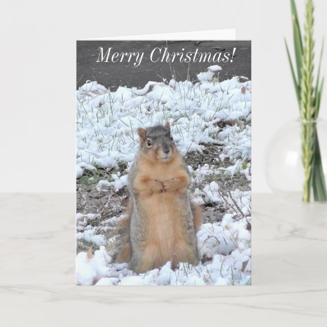 Tarjeta Feliz Navidad y feliz invierno ardilla de Año Nuev (Anverso)