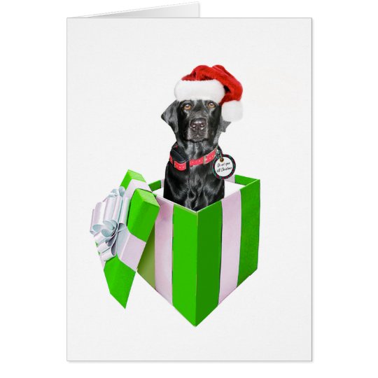 Tarjeta Feliz Navidog