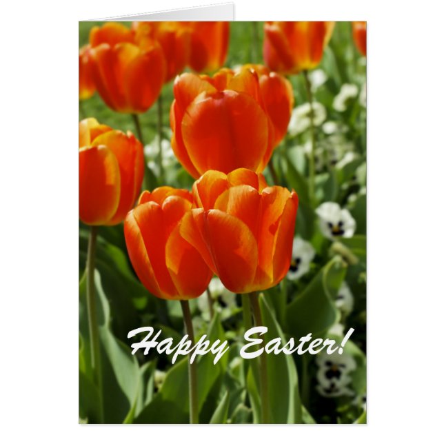 Tarjeta Feliz Pascua (Frente)
