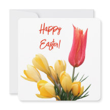 Feliz Pascua bonito crocus amarillo tulipán rojo f