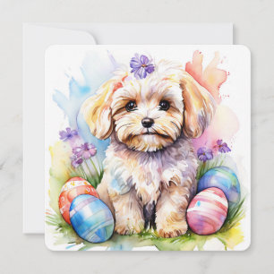 Tarjeta Feliz Pascua Perrito Maltipoo Apreciable A