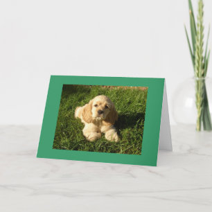 TARJETA FELIZ POR TU NUEVO "HIJO"