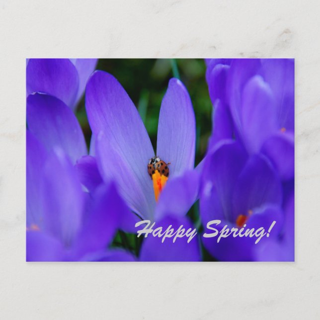 Tarjeta Feliz Primavera (Anverso)