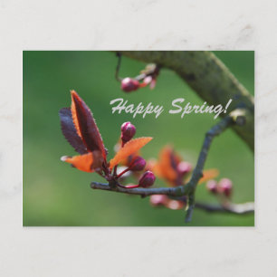 Tarjeta Feliz Primavera