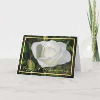 Feliz primer aniversario de la elegante curva rosa