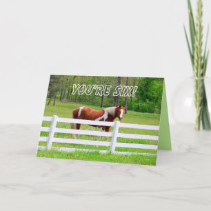 Tarjeta Feliz Sexto cumpleaños Paint Horse Card