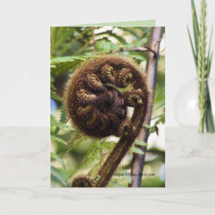 Tarjeta Fern del bosque de Kauri