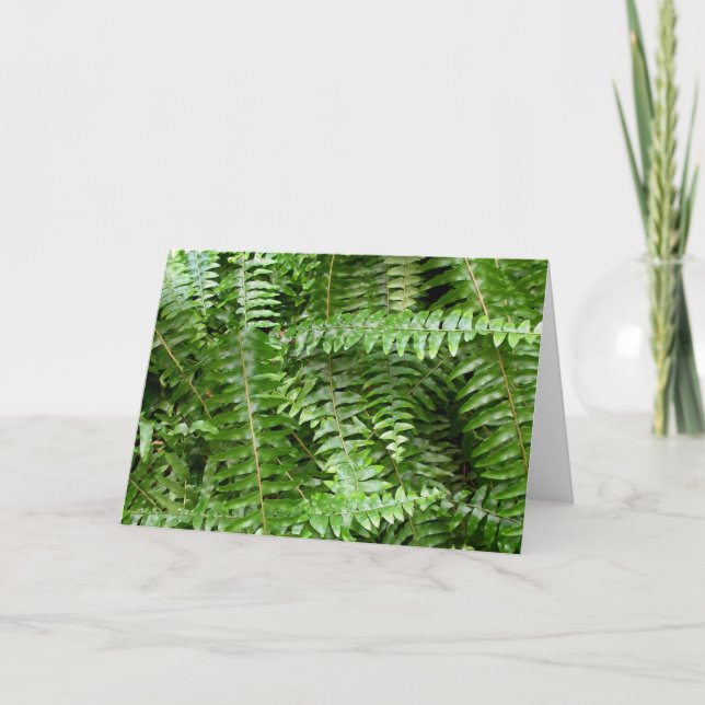 Tarjeta Fern Fronds I Green Nature (Anverso)