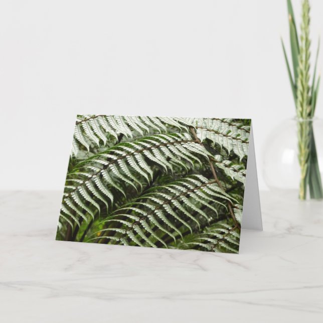 Tarjeta Fern Fronds II Naturaleza verde oscura (Anverso)