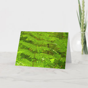 Tarjeta Fern Fronds III Naturaleza verde Botánica
