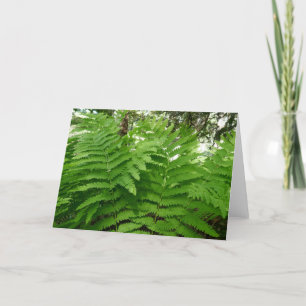 Tarjeta Fern Fronds IV Naturaleza verde Botánica
