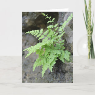 Tarjeta Fern Primavera Temprana