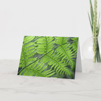 Tarjeta Fern verde