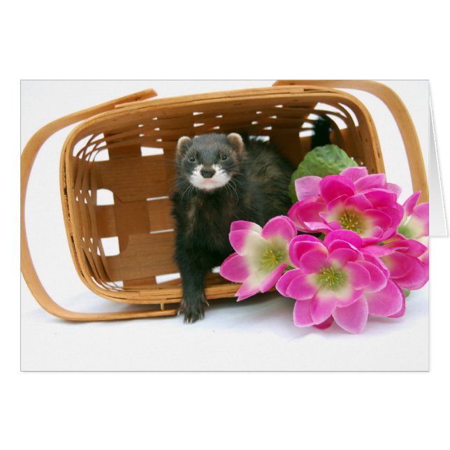 Tarjeta Ferret (Anverso (Horizontal))