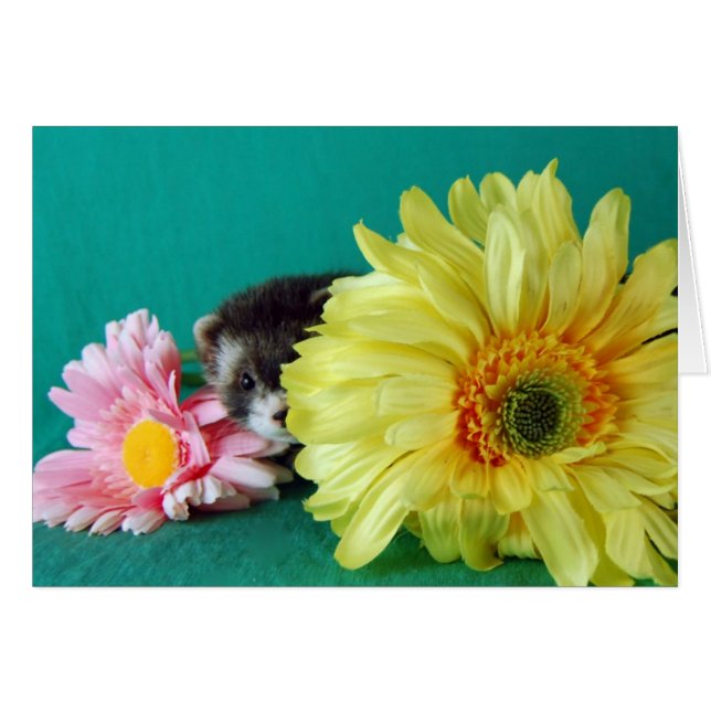 Tarjeta Ferret (Anverso (Horizontal))