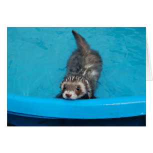 Tarjeta Ferret