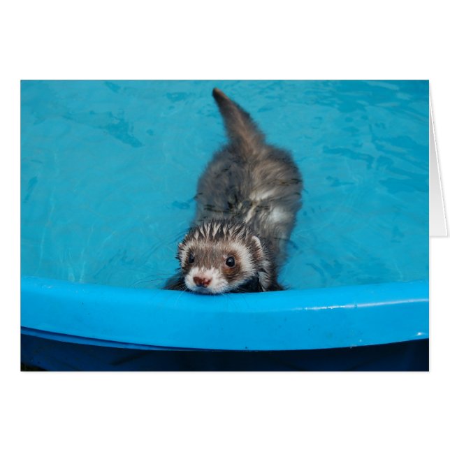 Tarjeta Ferret (Anverso (Horizontal))