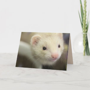 Tarjeta Ferret