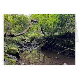 Tarjeta ferroviaria abandonada