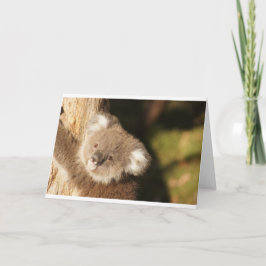 Tarjeta Festejo de Cumpleaños de Ositos Koala Lindos