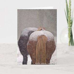 Tarjeta Festiva 2005 ganador del lugar de la foto segunda de la