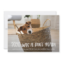 2020 fue un año espantoso azul de la foto de un pe