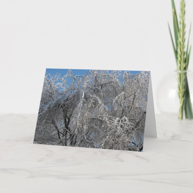 Tarjeta Festiva ~ 25 del invierno (Anverso)