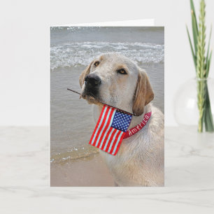 Tarjeta Festiva 4 de julio Labrador recuperador con festividad de