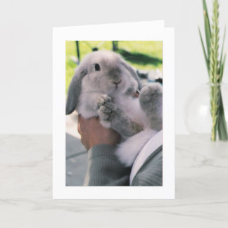 Tarjeta Festiva 6.º patata