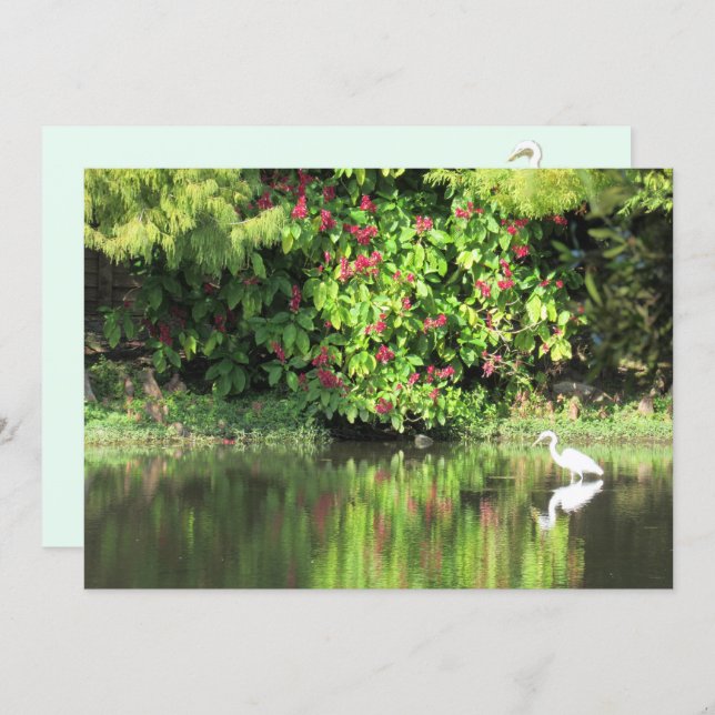 Tarjeta Festiva  A Great Egret Fishing in the Swamp (Anverso / Reverso)
