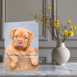 Tarjeta Festiva A la mejor mamá de perros del mundo Foto y texto p
