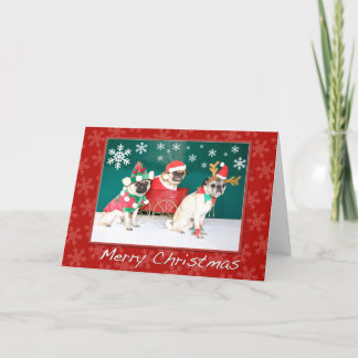 Tarjeta Festiva A Three Pug Christmas