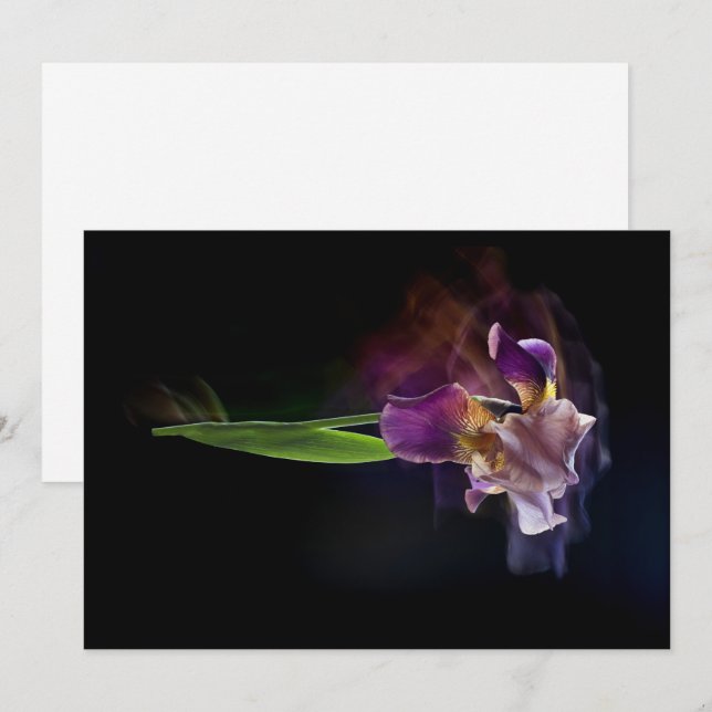Tarjeta Festiva Abstract Iris Flower – Elegant Floral Art (Anverso / Reverso)