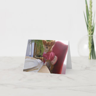 Tarjeta Festiva Acción de Gracias con adorable chihuahua