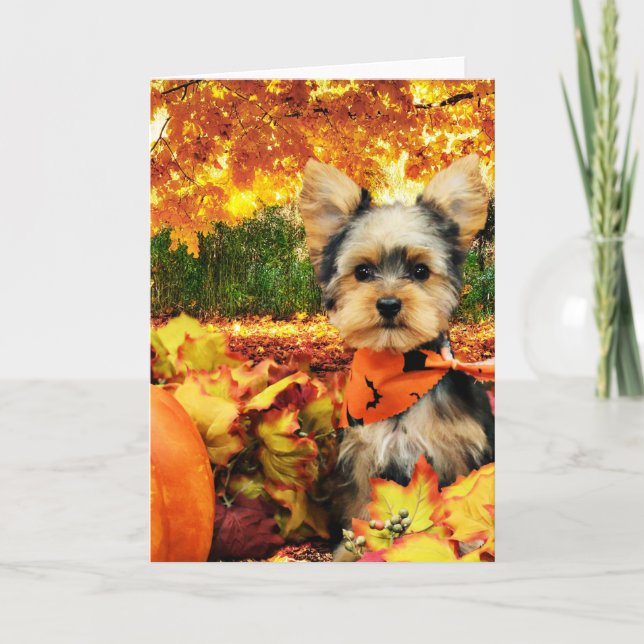 Tarjeta Festiva Acción de Gracias de Otoño - Max - Yorkie (Anverso)