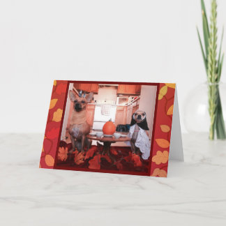 Tarjeta Festiva Acción de gracias del perro