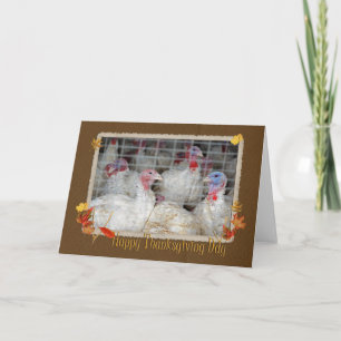 Tarjeta Festiva Acción de Gracias Turquía
