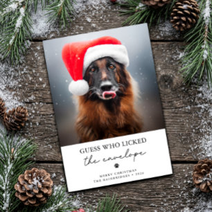 Tarjeta Festiva Adivina Quién Lamió el Sobre Perro Divertido Navid