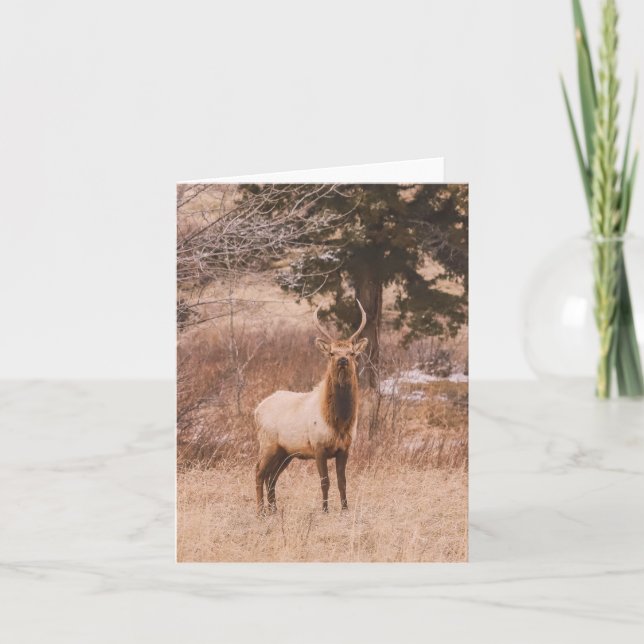 Tarjeta Festiva Adolescence - 4" x 5.6" Notecard (Anverso)