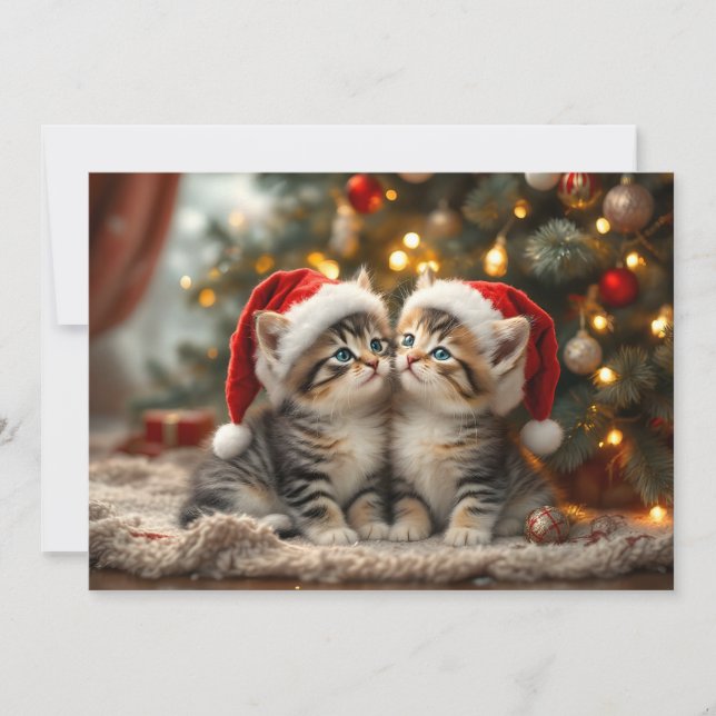 Tarjeta Festiva Adorable Christmas kitten with Santa hats  (Anverso)