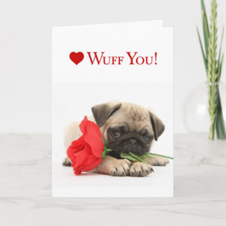 Tarjeta Festiva Adorable Pug pippy Valentín con una Rosa Roja