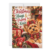 Adorable Yorkshire Terrier Navideño Abrazos y Cach