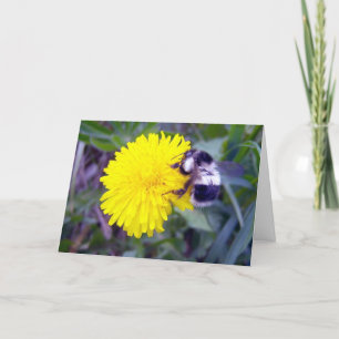 Tarjeta Festiva ¿Adquirir Mi Valentín?