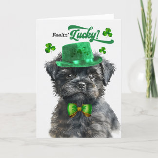 Tarjeta Festiva Affenpinscher Dog Feelin, el día de San Patricio