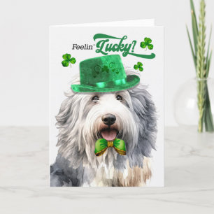 Tarjeta Festiva Afortunado Día de San Patricio, el lindo Sheepdog 