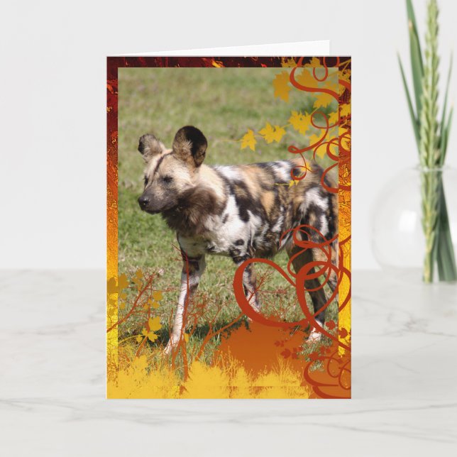 Tarjeta Festiva african-wild-dog-016 (Anverso)