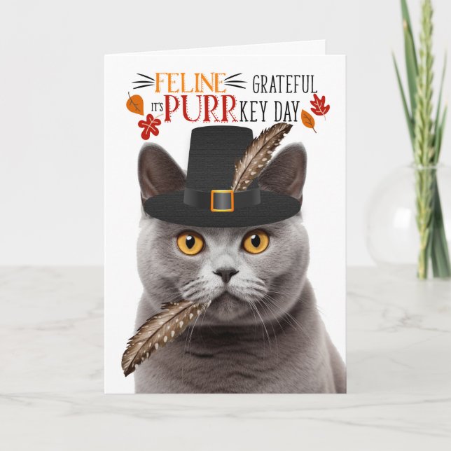 Tarjeta Festiva Agradecimiento a felino grisáceo británico por el  (Anverso)